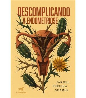 Descomplicando A Endometriose